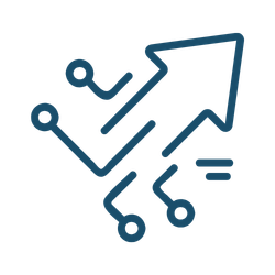 Internal Linking