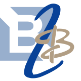 B2BNIC Logo